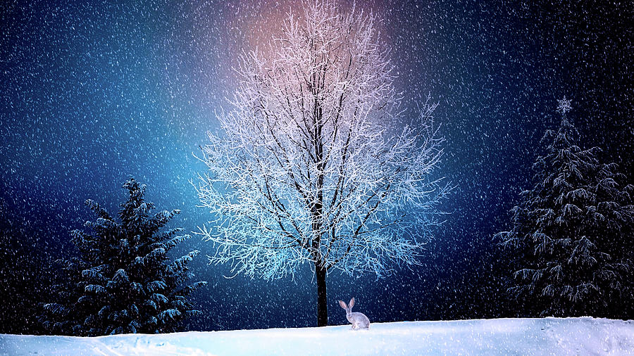 Christmas Photograph - Christmas Winter Wonderland by Mountain Dreams