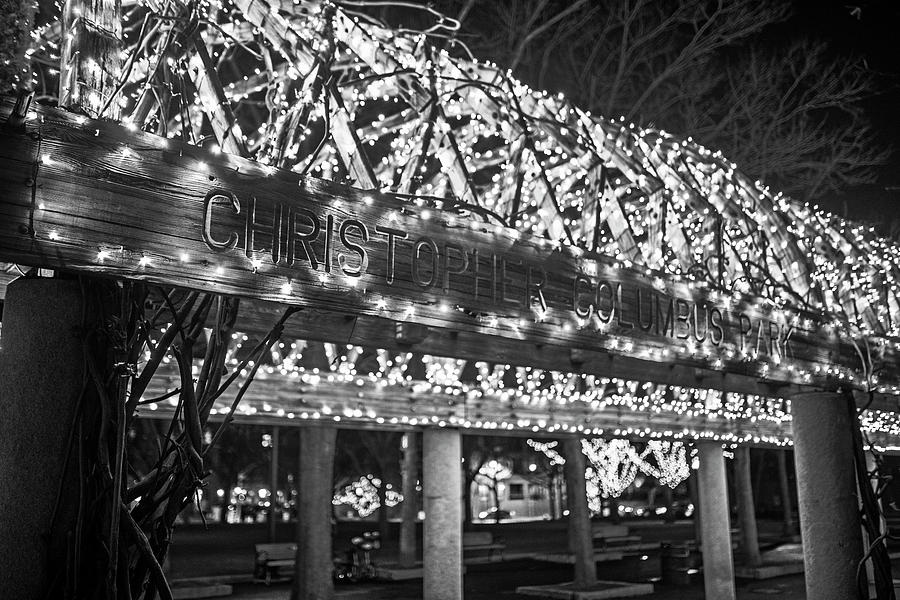 Christopher Columbus Park Trellis lit up for Christmas Boston MA Xmas Black and White Photograph by Toby McGuire