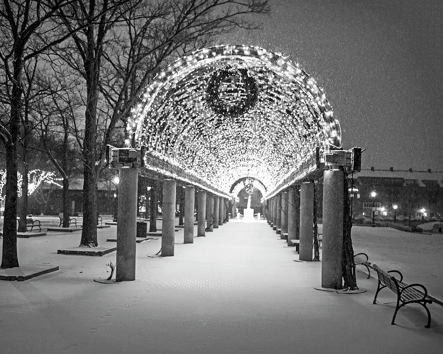 Christopher Columbus Park Trellis lit up for Christmas Snowstorm Boston MA Black and White Photograph by Toby McGuire