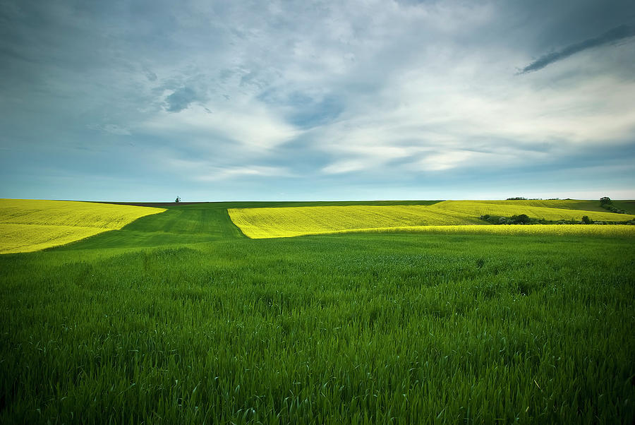 Chromatic borders Photograph by Sorin Vidis - Fine Art America