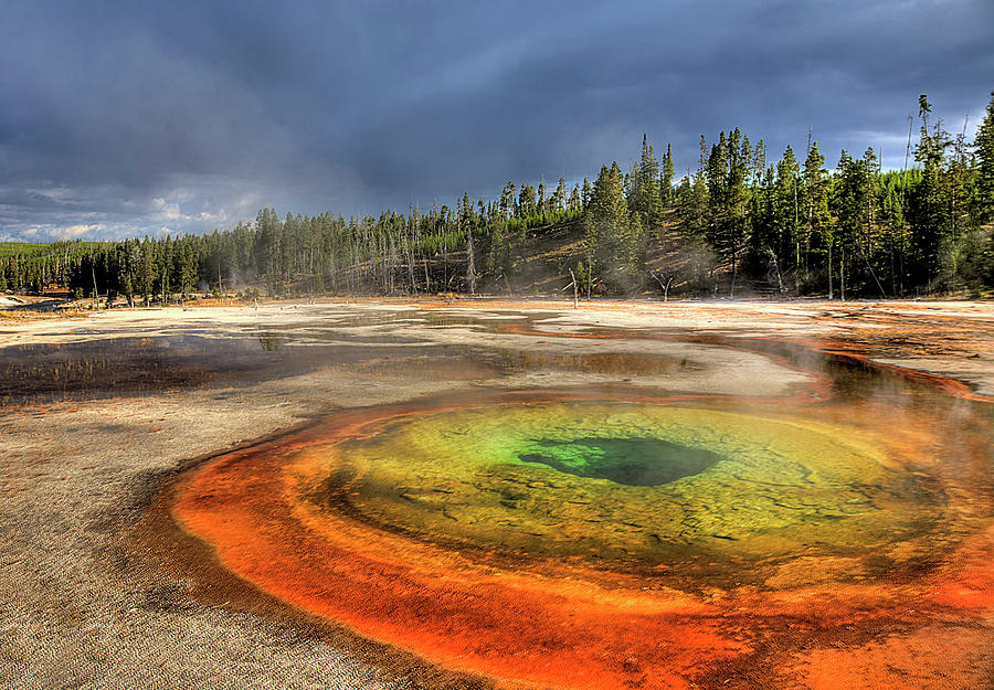 Chromatic Pool Yellowstone Photograph by Michael Just