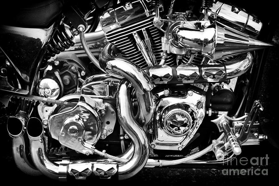 Chrome and Skulls Photograph by Tim Gainey