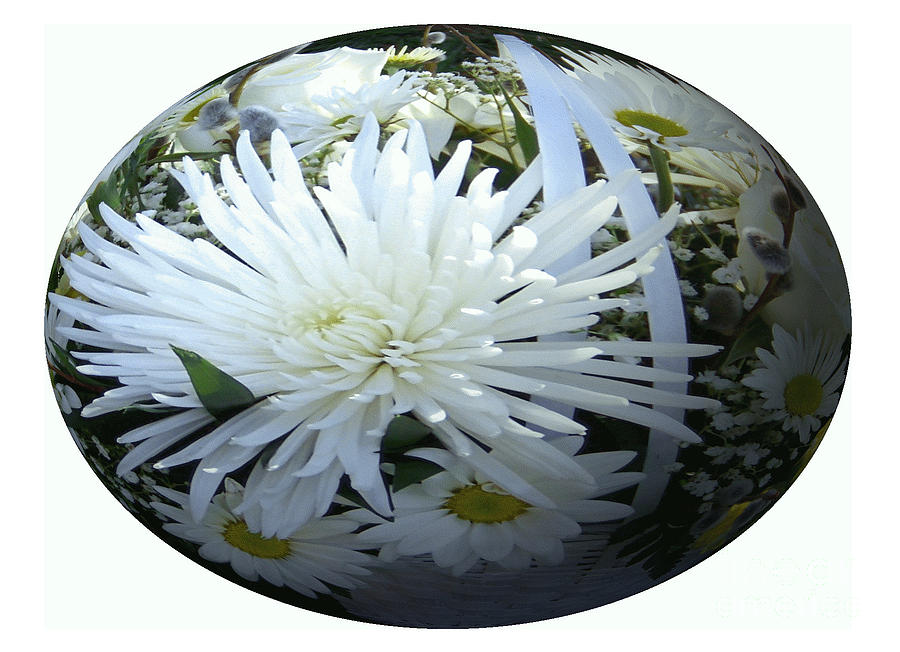 Chrysanthemum Egg Digital Art by Charles Robinson