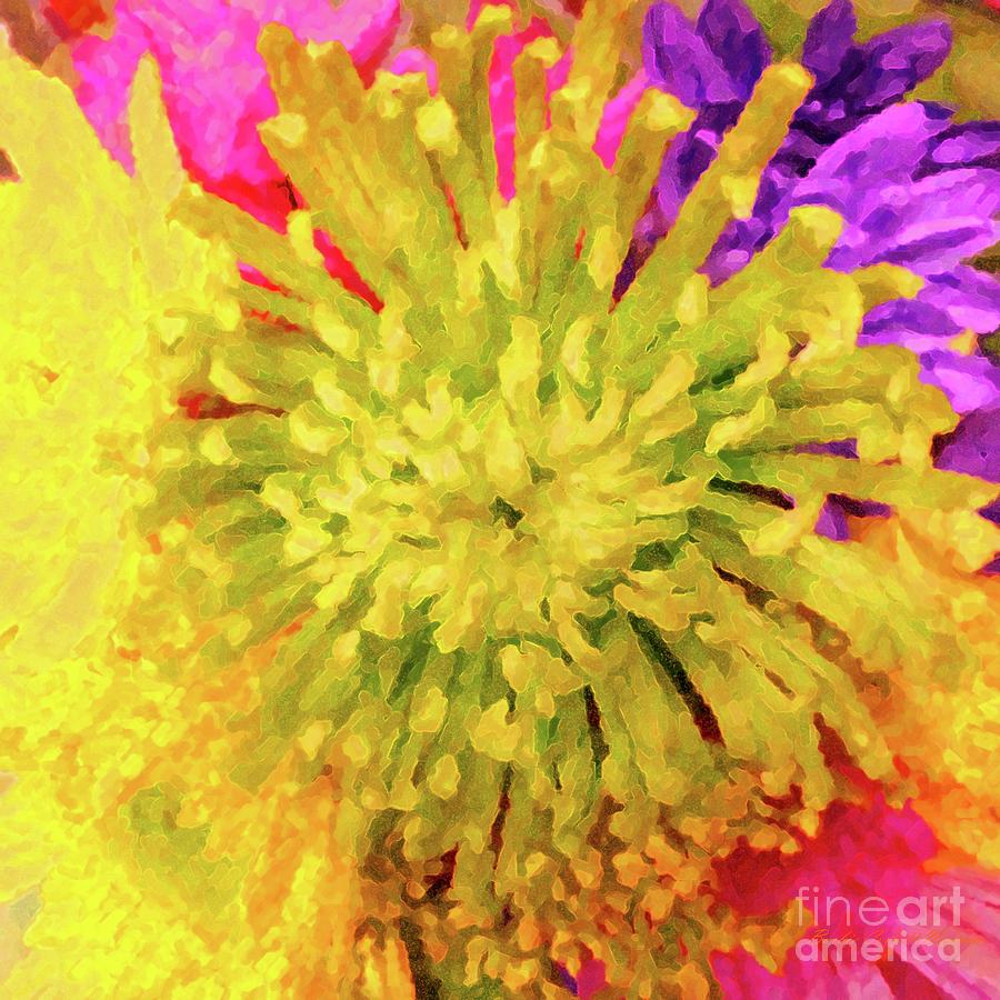 Chrysanthemum Fantasia Photograph by Barbie Corbett-Newmin