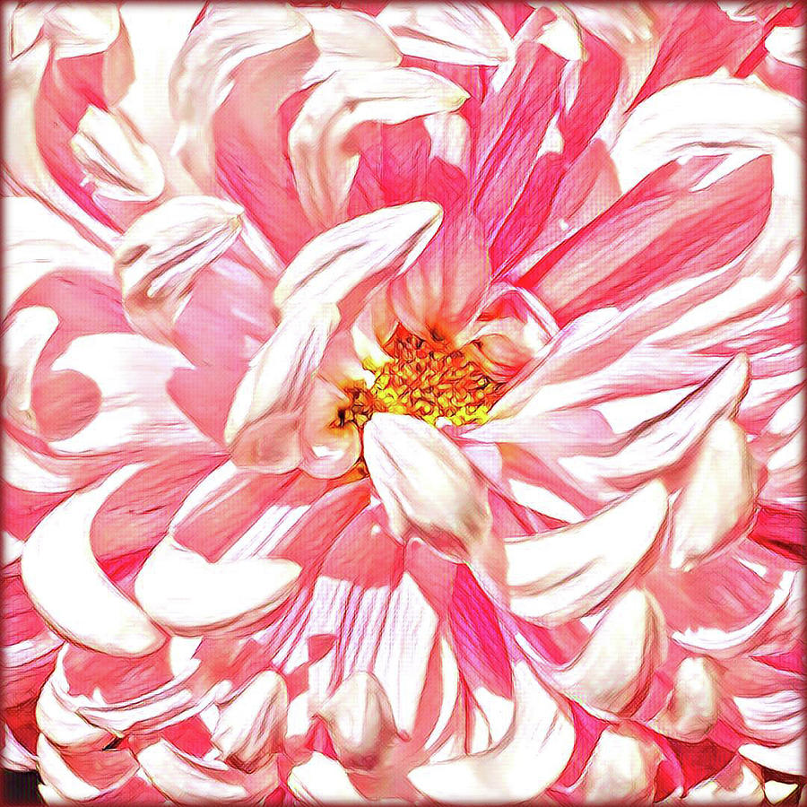 Flower Painting - Chrysanthemum in Pink by Shadia Derbyshire