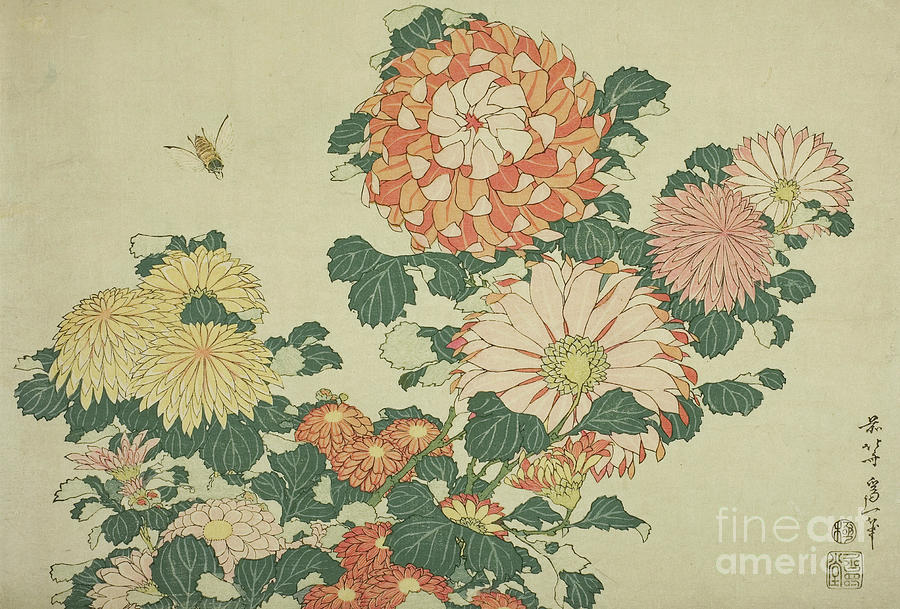 Chrysanthemums and Bee Painting by Hokusai