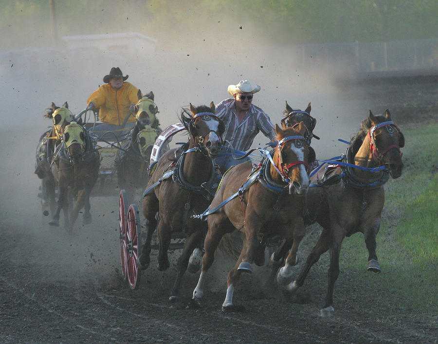 Horse Photograph - Chuckwagon Racing by Jack Dagley