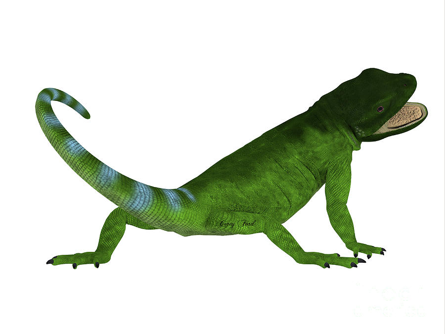 Chuckwalla Lizard Tail Digital Art by Corey Ford