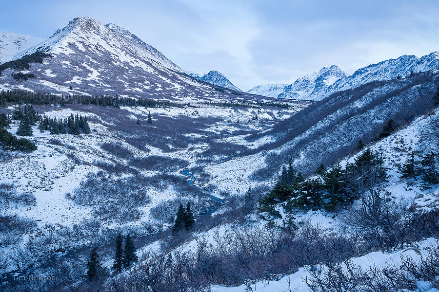 Chugach in Winter Twilight Photograph by Tim Newton