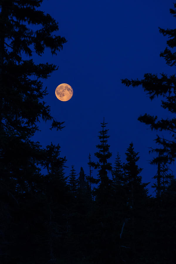 Chugach Moon Photograph by Sara Hudock