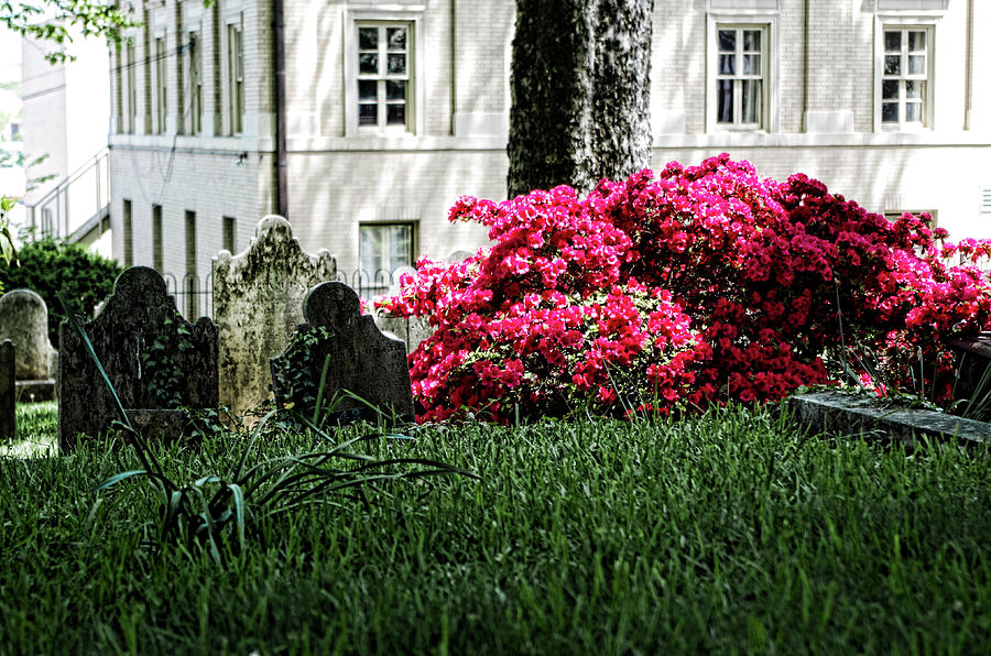 Church Graveyard Photograph by Sharon Popek