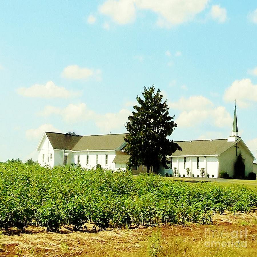 Church in the Cotton Fields Photograph by Eloise Schneider Mote