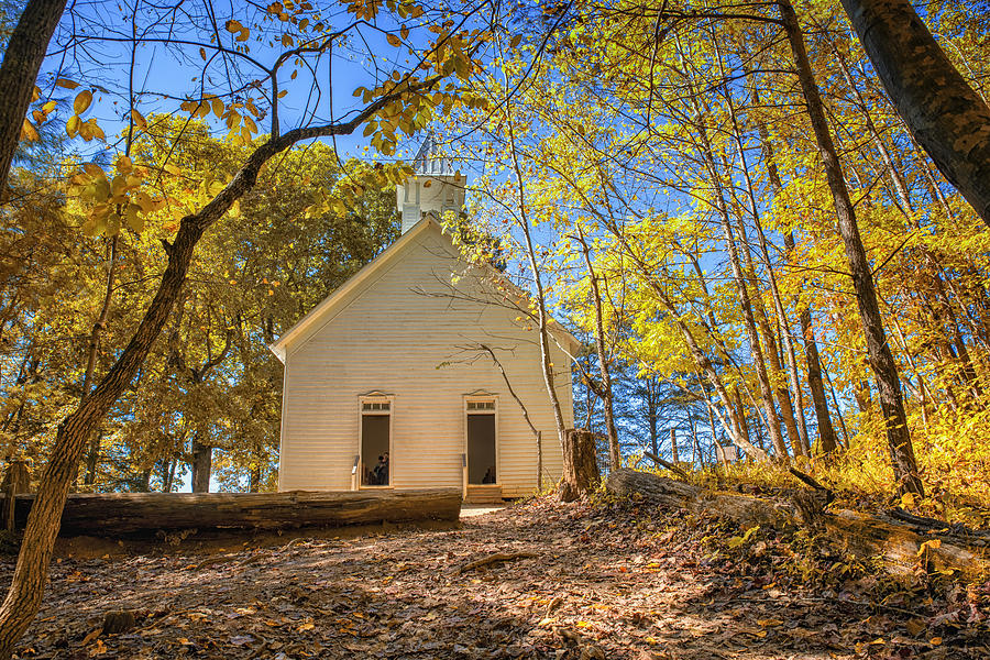 Church in trees Photograph by Dmdcreative Photography