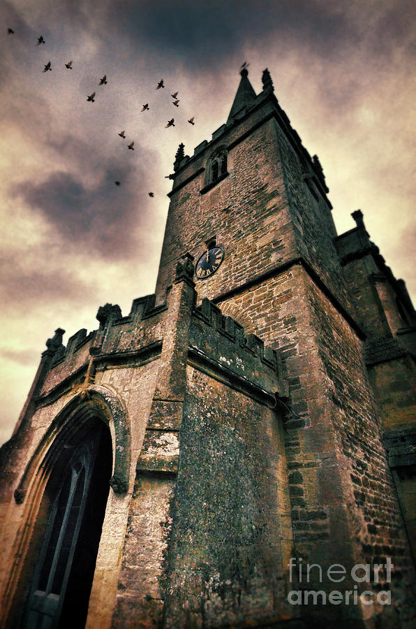 Bird Photograph - Church Tower by Jill Battaglia