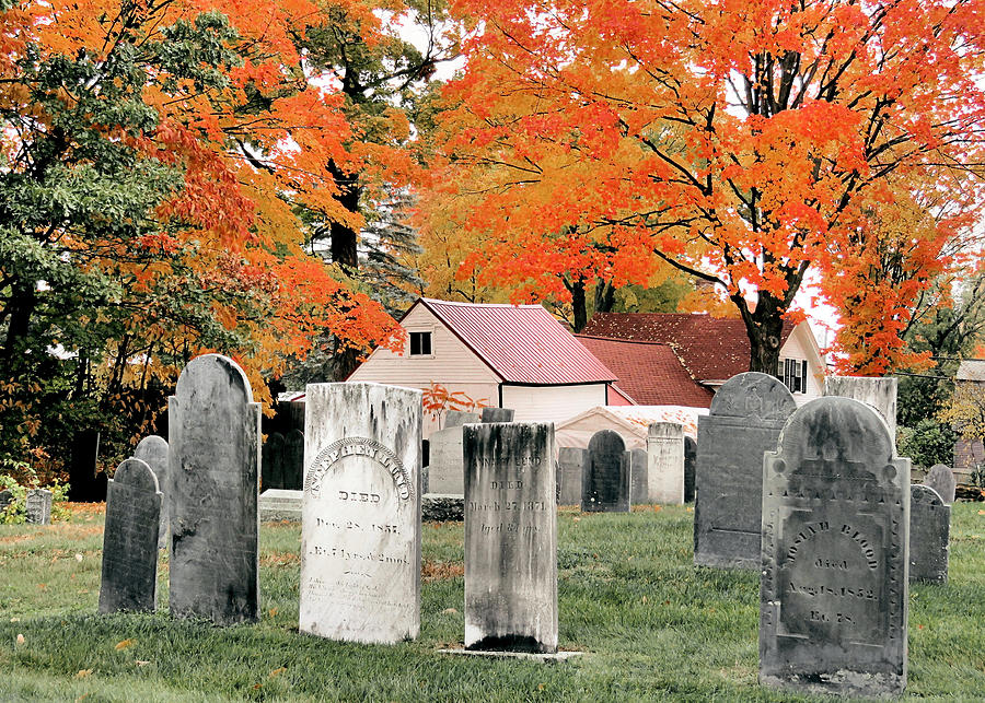 Churchyard Burial Ground Photograph by Janice Drew