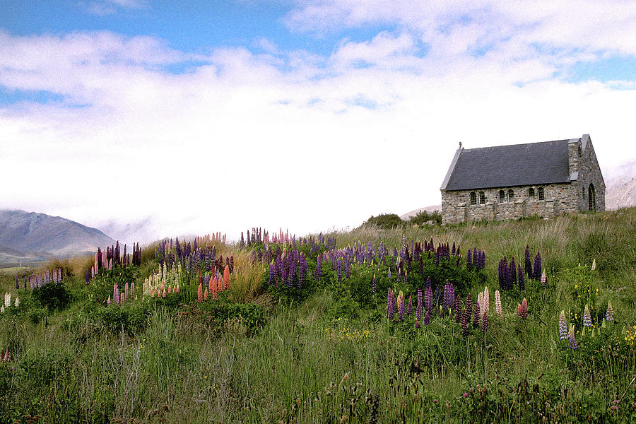 Churh and Lupines Photograph by Jerry Griffin