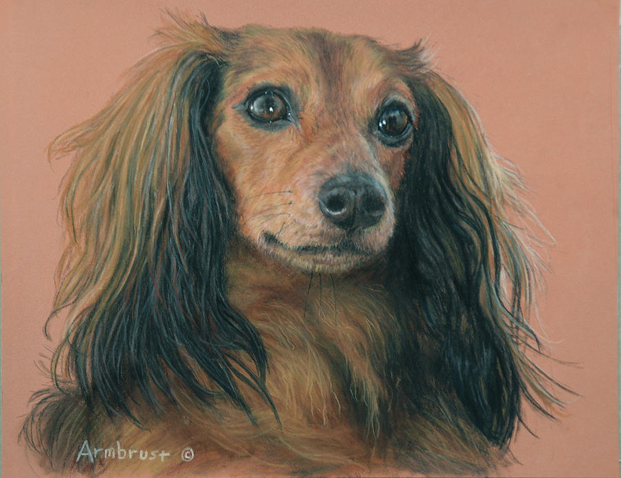 Dog Pastel - Chuy by Carla Armbrust