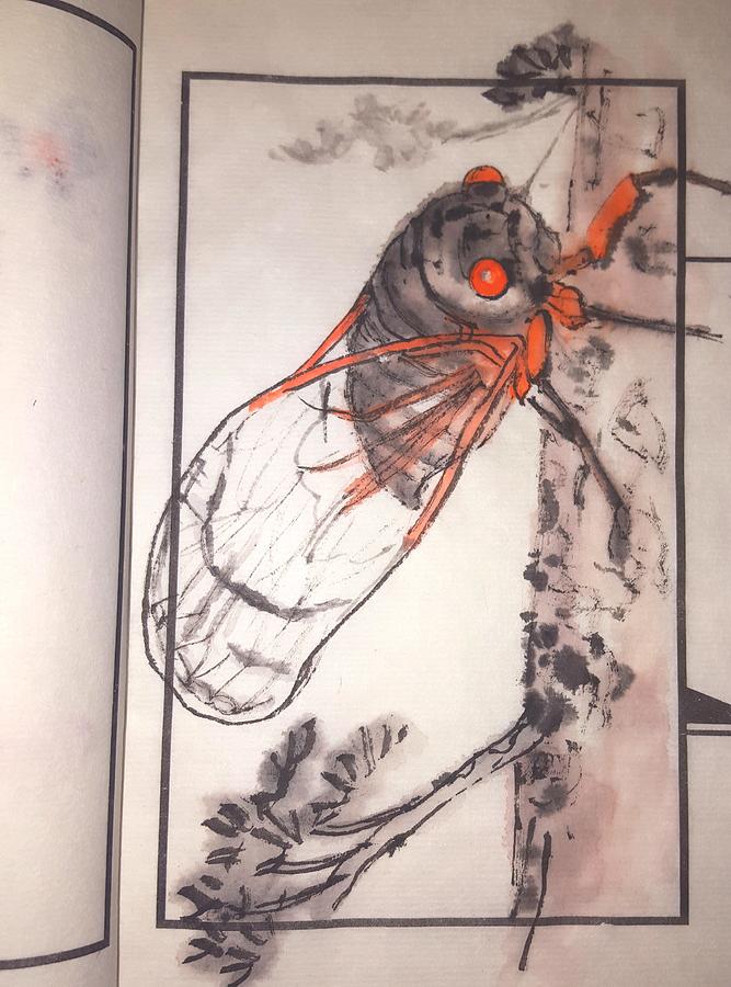 Cicada  Bug Painting by Debbi Saccomanno Chan