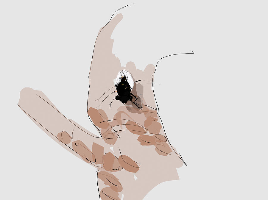 Cicada  coming Digital Art by Debbi Saccomanno Chan