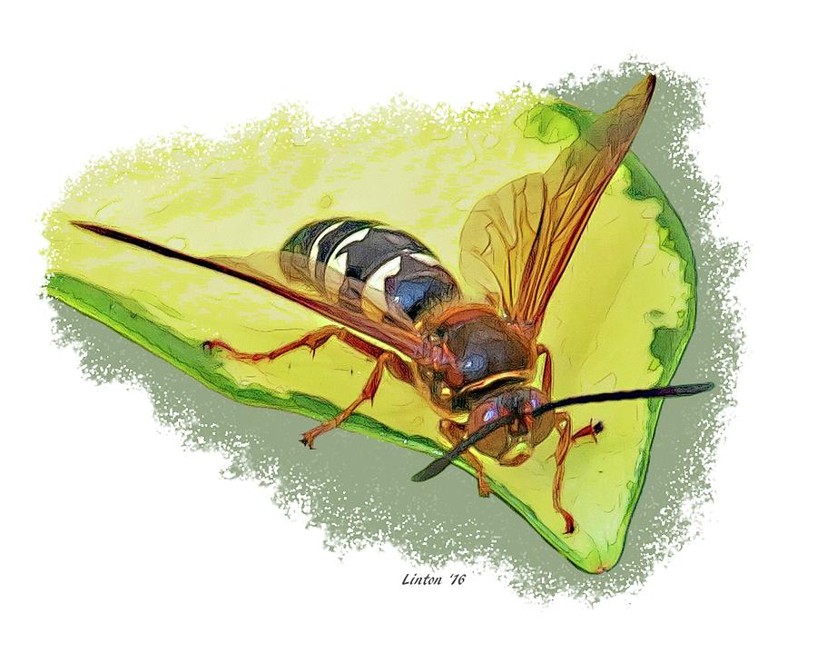 Cicada-killer Wasp Digital Art by Larry Linton