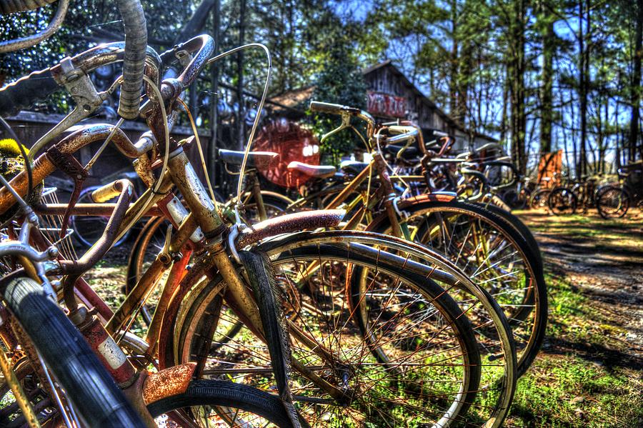 Cicadelic Bikes Photograph by FineArtRoyal Joshua Mimbs