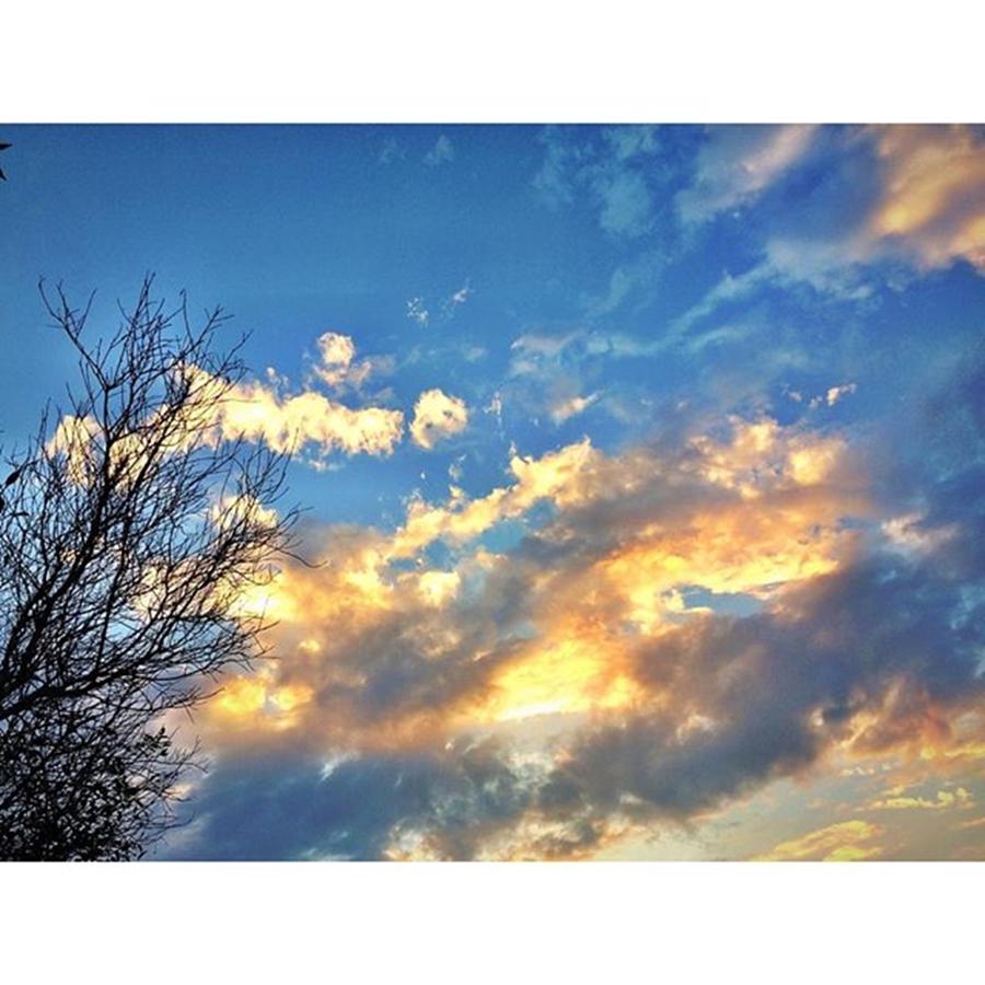 Tree Photograph - #cielo #sky #heaven #atardecer #árbol by Jabsha 