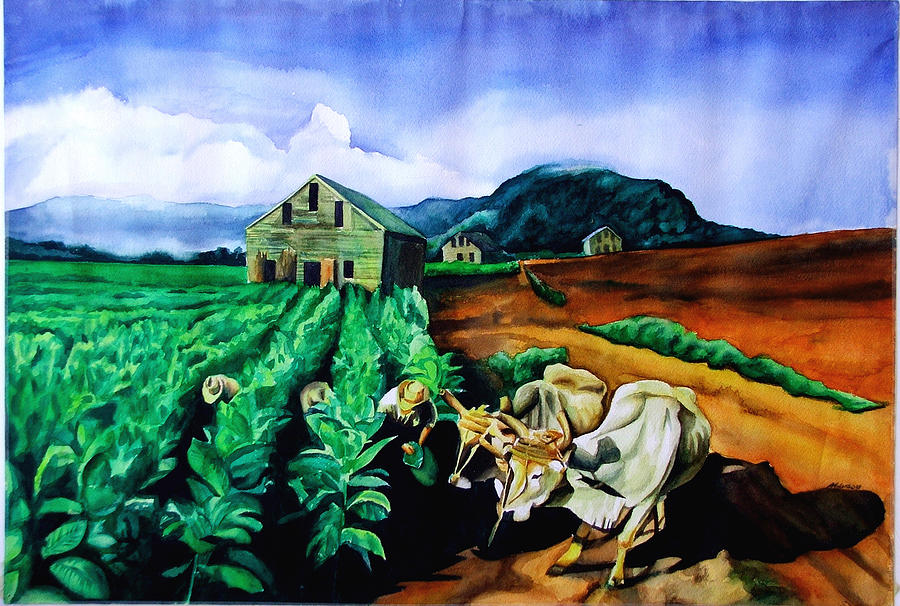 Cigar Champ Painting by Antonio Molina - Fine Art America