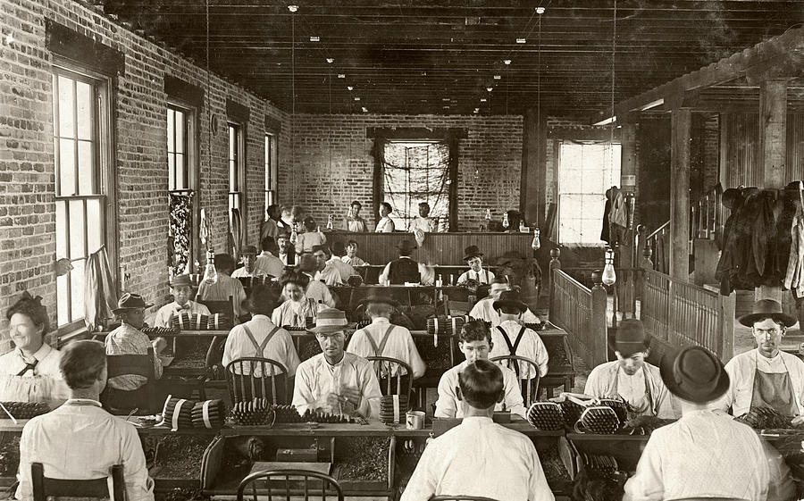Cigar Factory, 1909 Photograph by Granger