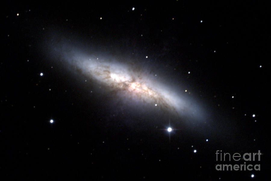 Cigar Galaxy, M82, Ngc 3034 Photograph by N.A. Sharp/NOAO/AURA/NSF
