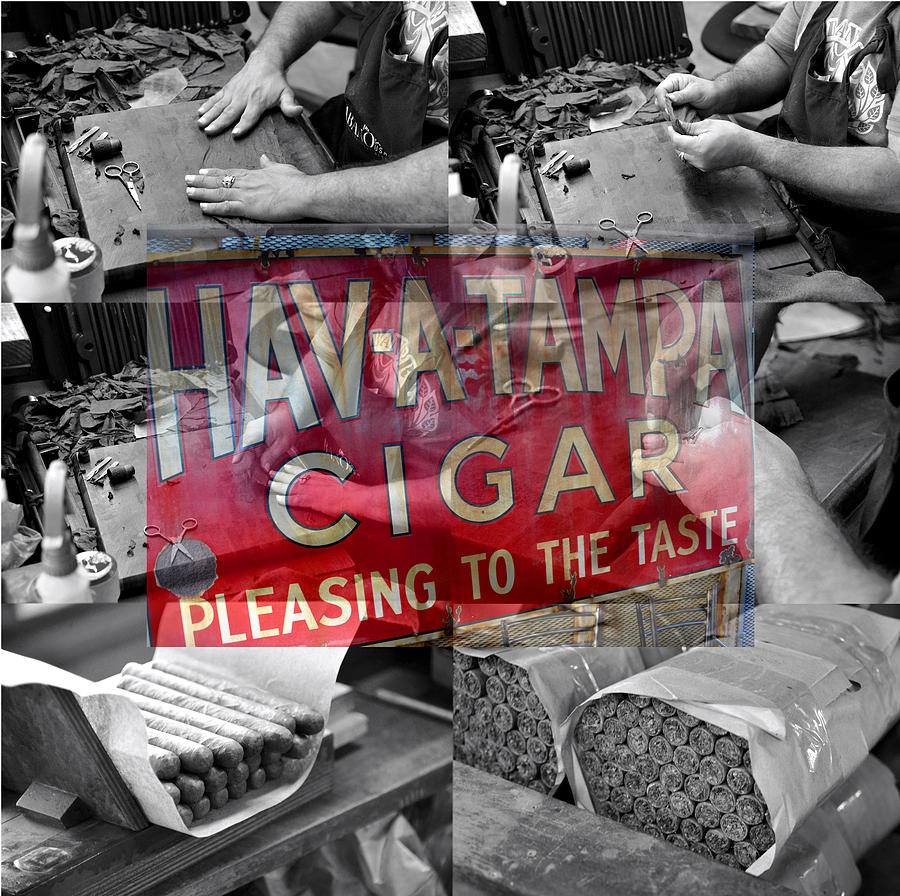 Cigar rolling Tampa Mixed Media by David Lee Thompson