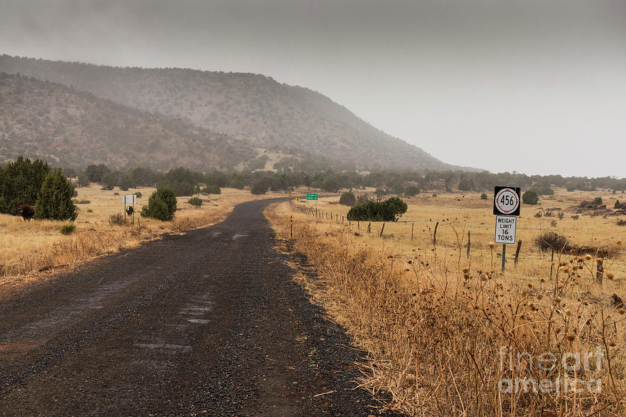 Cimarron Highway 456 New Mexico Photograph by Garry McMichael