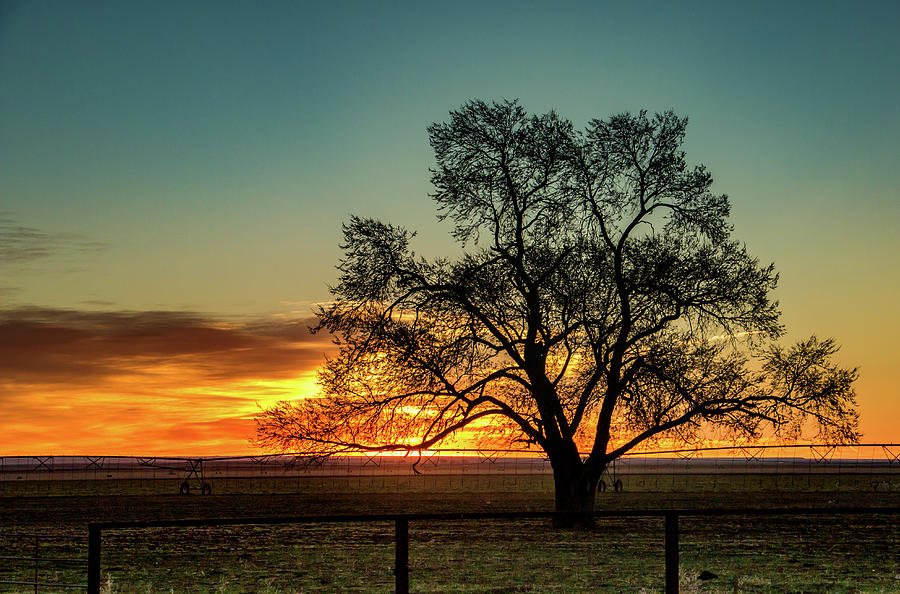 Cimarron Ranch Sunset Photograph by Edie Ann Mendenhall