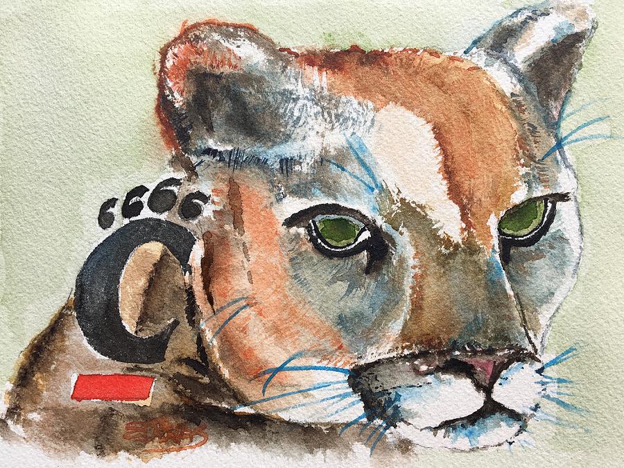 Cincinnati Bearcats Painting by Elaine Duras