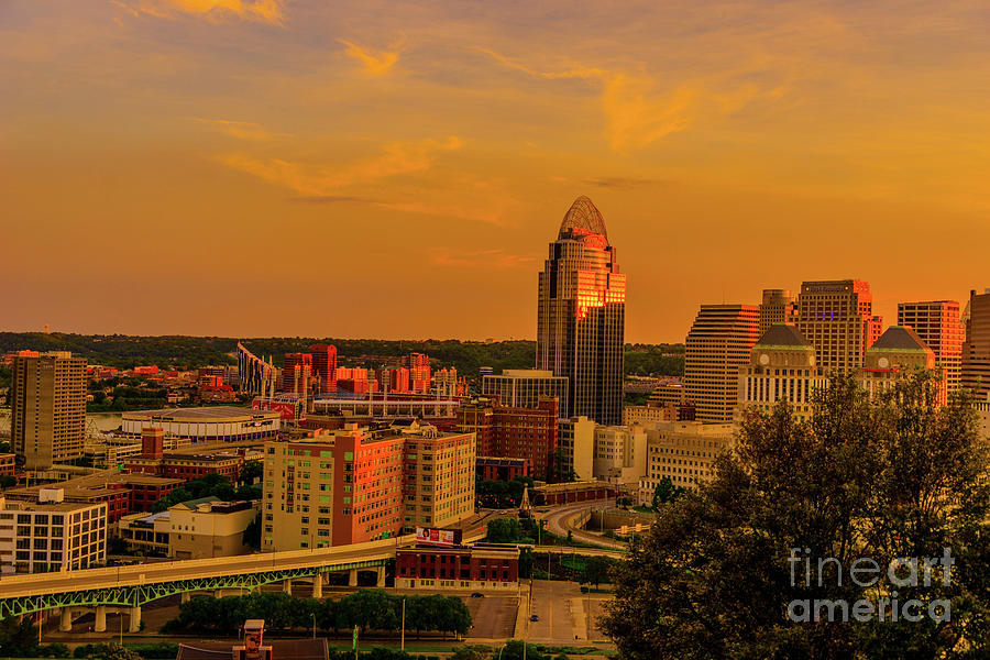 Cincinnati Golden Photograph by Cathy Donohoue