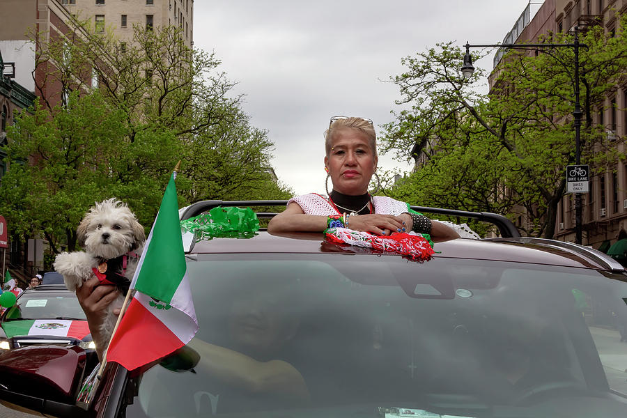 Cinco de Mayo Parade NYC 2018 Car and Dog Photograph by Robert Ullmann