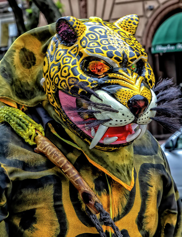 Cinco de Mayo Parade NYC 2018 Leopard Costume Photograph by Robert Ullmann