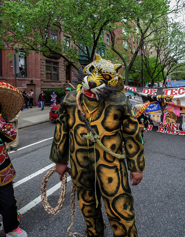 Cinco de Mayo Parade NYC 2018 Paticipant in Leopard Costume with Photograph by Robert Ullmann