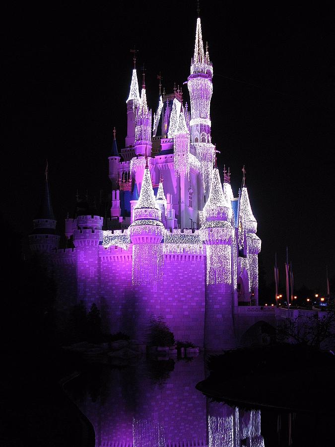 Cinderella Castle Christmas Reflection Photograph by Stuart Rosenthal ...