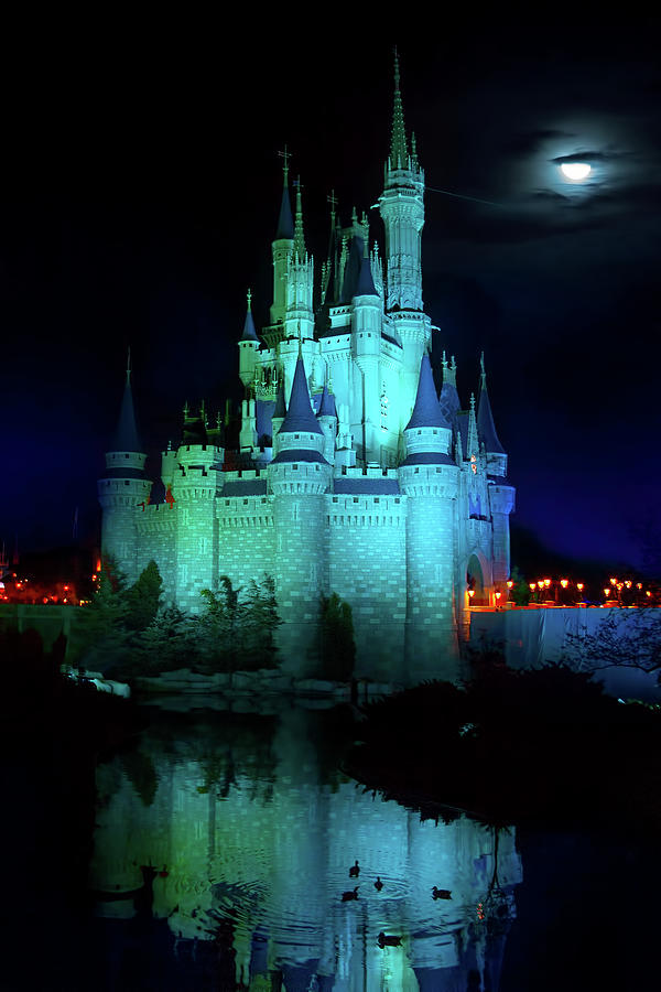 Cinderella Castle Reflection Photograph by Mark Andrew Thomas