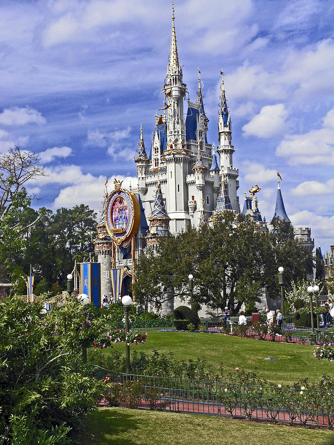 Cinderella Castle Photograph by Sally Weigand - Fine Art America