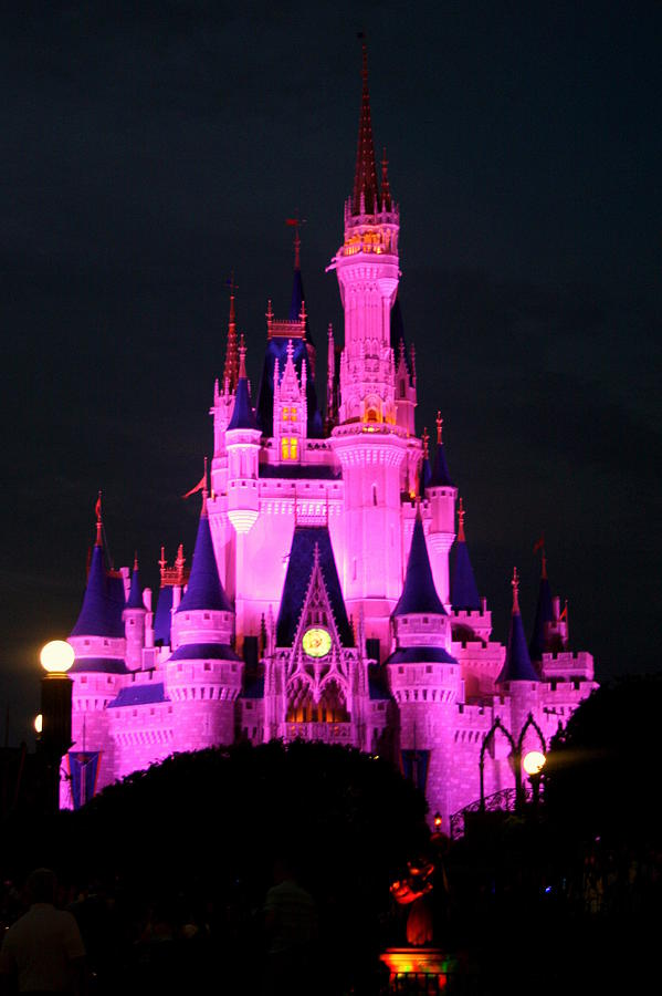 Cinderella's Castle at Night Photograph by Anita Hiltz - Fine Art America