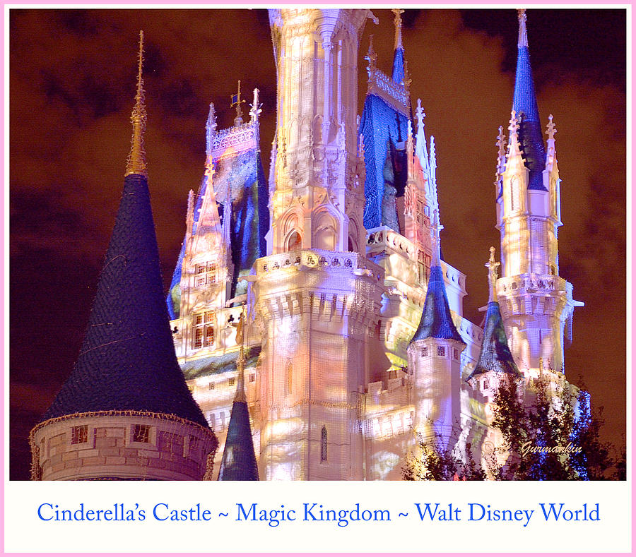 Cinderellas Castle at Night Walt Disney World Photograph by A Macarthur Gurmankin