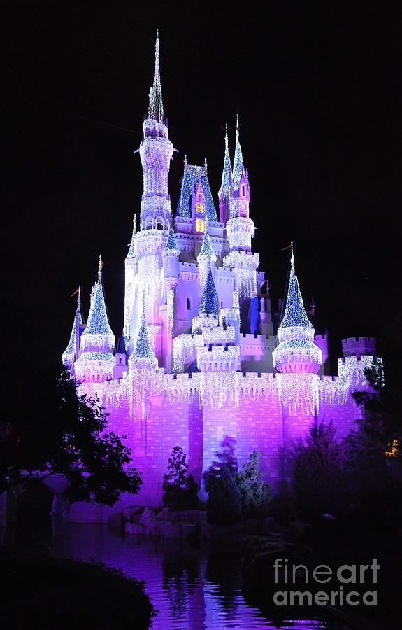 Cinderellas Holiday Castle Photograph by John Black