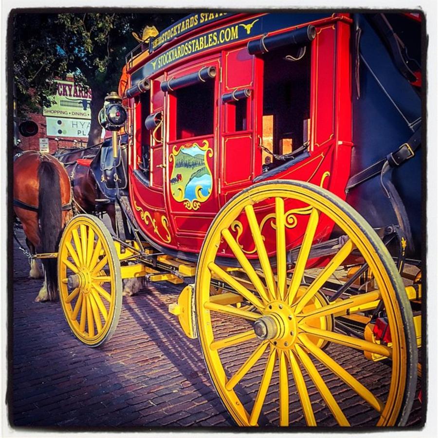 Cinderellas Texas Wagon Photograph by Alexis Fleisig