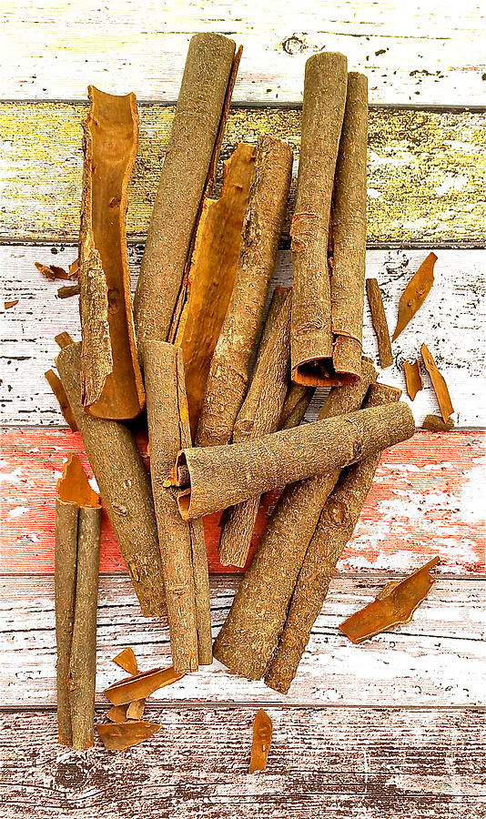 Cinnamon Photograph - Cinnamon Bark by Caroline Reyes-Loughrey