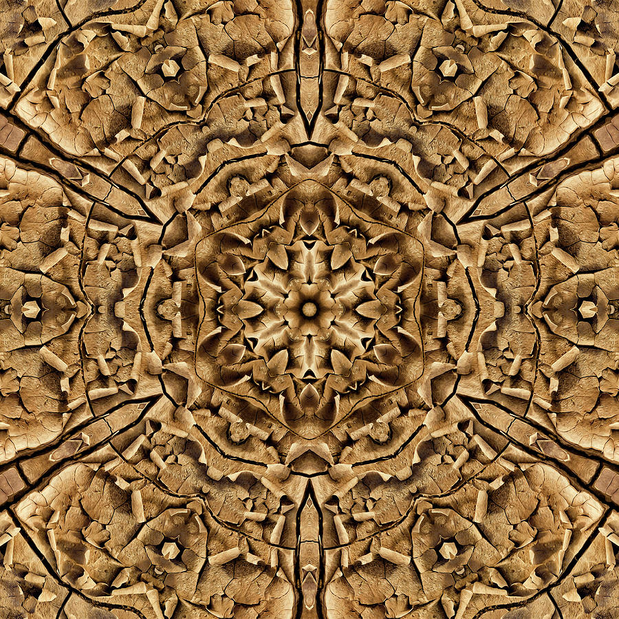Cinnamon Delight Chrysanthemud Digital Art by Becky Titus
