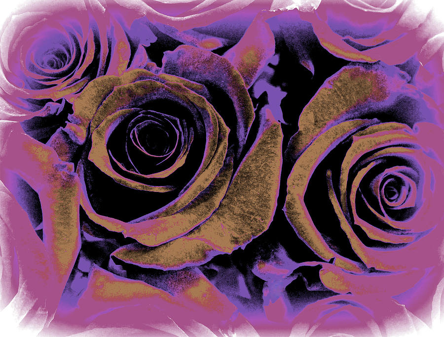 Cinnamon roses Photograph by The Art Of Marilyn Ridoutt-Greene