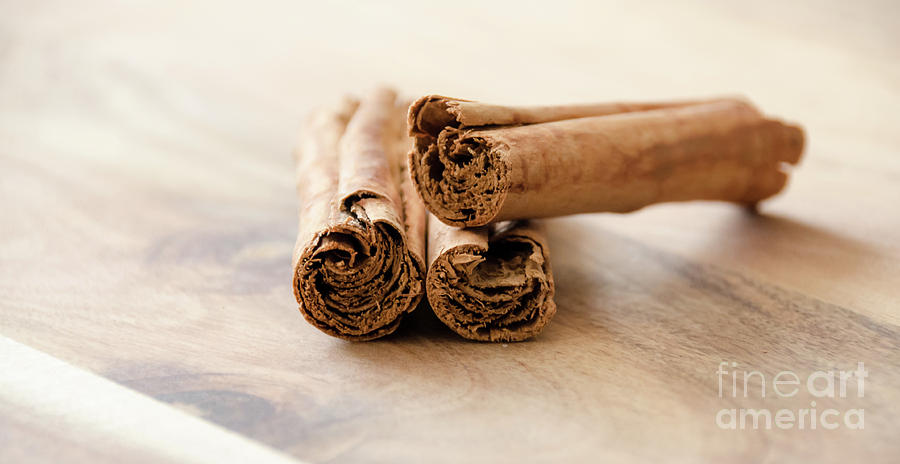 Cinnamon Stick Photograph by Andrea Anderegg