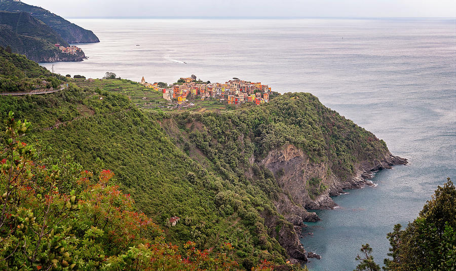 Cinque Terre Italy Panorama Photograph by Joan Carroll