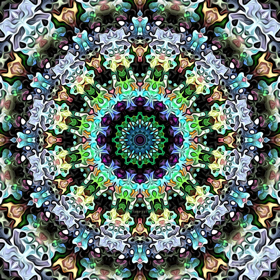 Circle of Colorful Symmetry Digital Art by Phil Perkins
